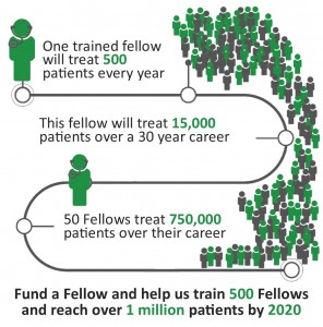 2016_WFSA_Fund a fellow graphic