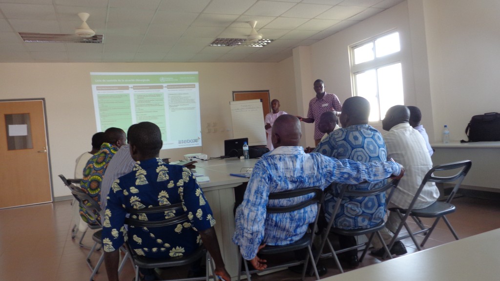 Burkina Faso_workshop_2013 (4)